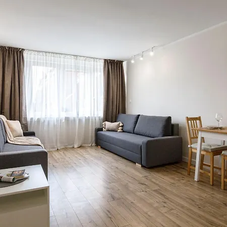 - Old Town - Swidnicka Street Apartment Breslau